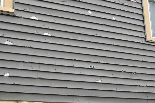 Siding for Multi-Family Homes in Susanville, CA